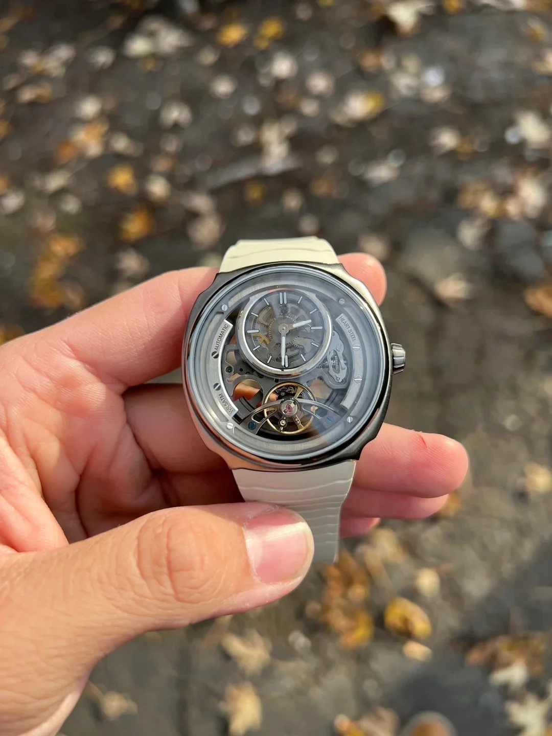Luxury Watch Offers - Limited Offer DG8127 Stainless Steel Case
