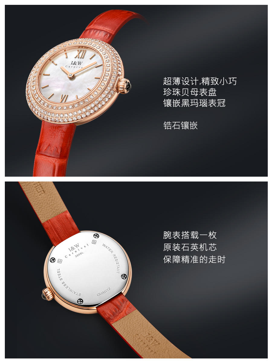 Switzerland Luxury Brand I&W C - Luxury Watch Japan Brand review and price